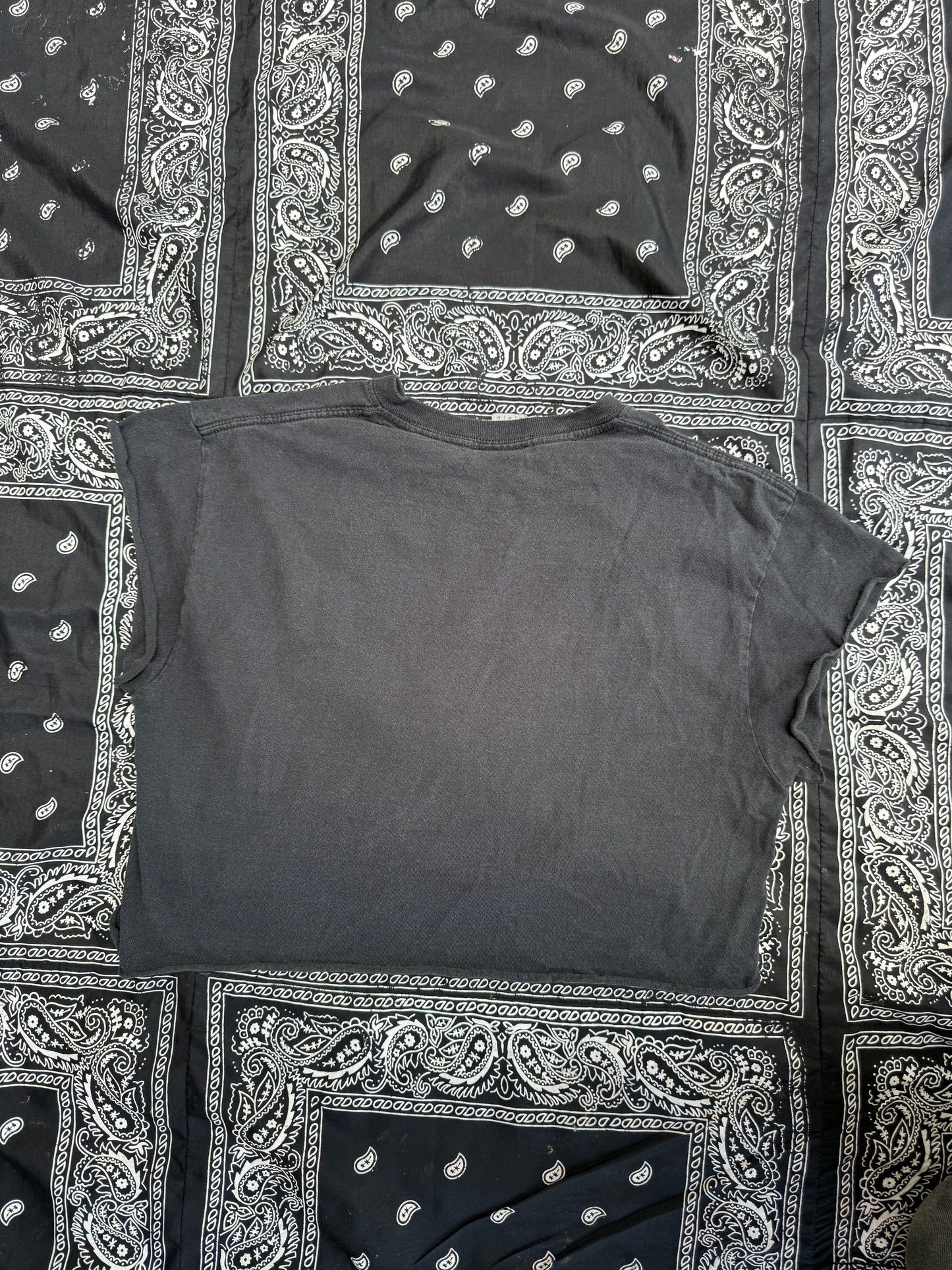 Bleached and Cropped Thrasher Tee