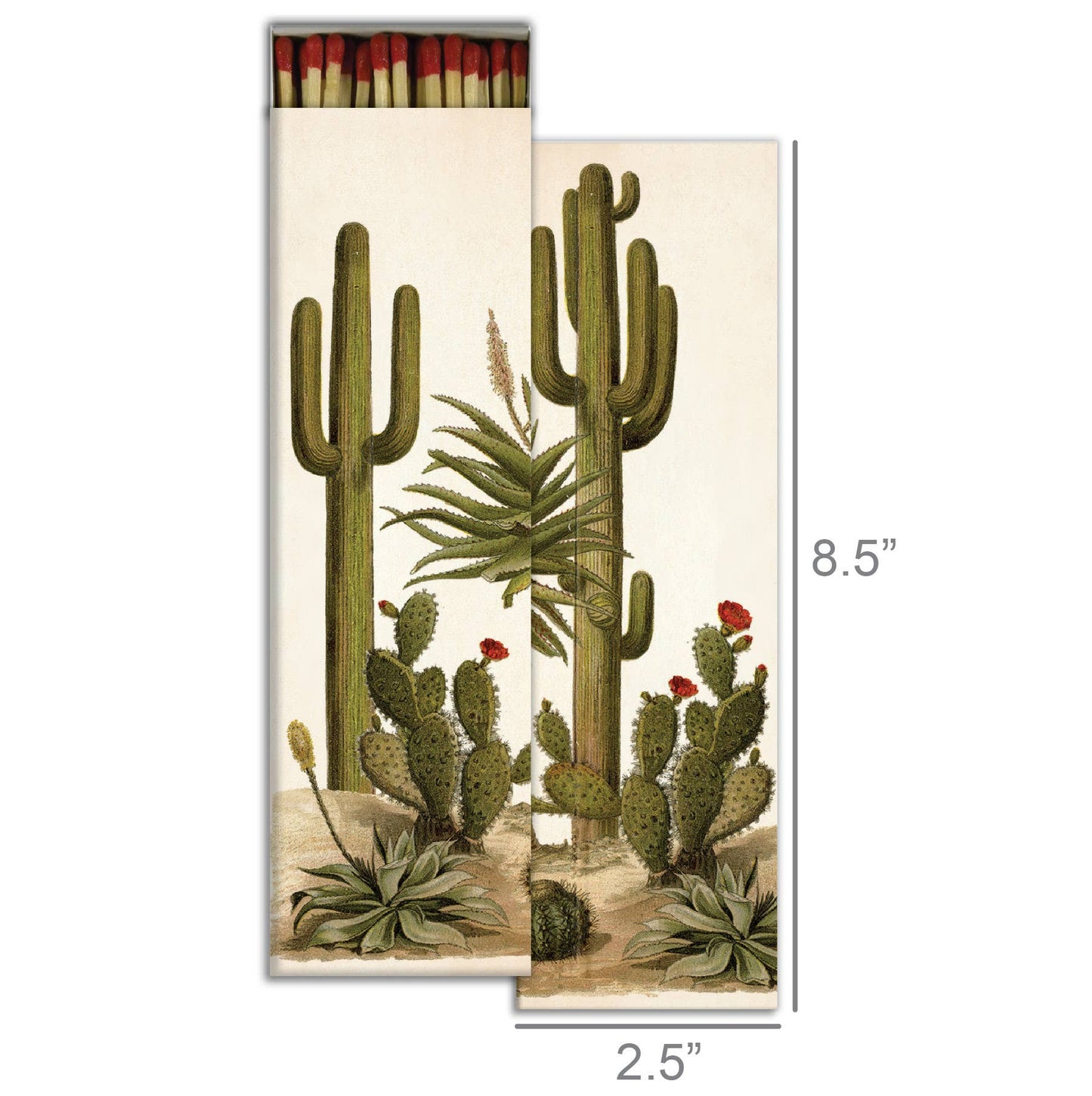 Match - Tall Cacti