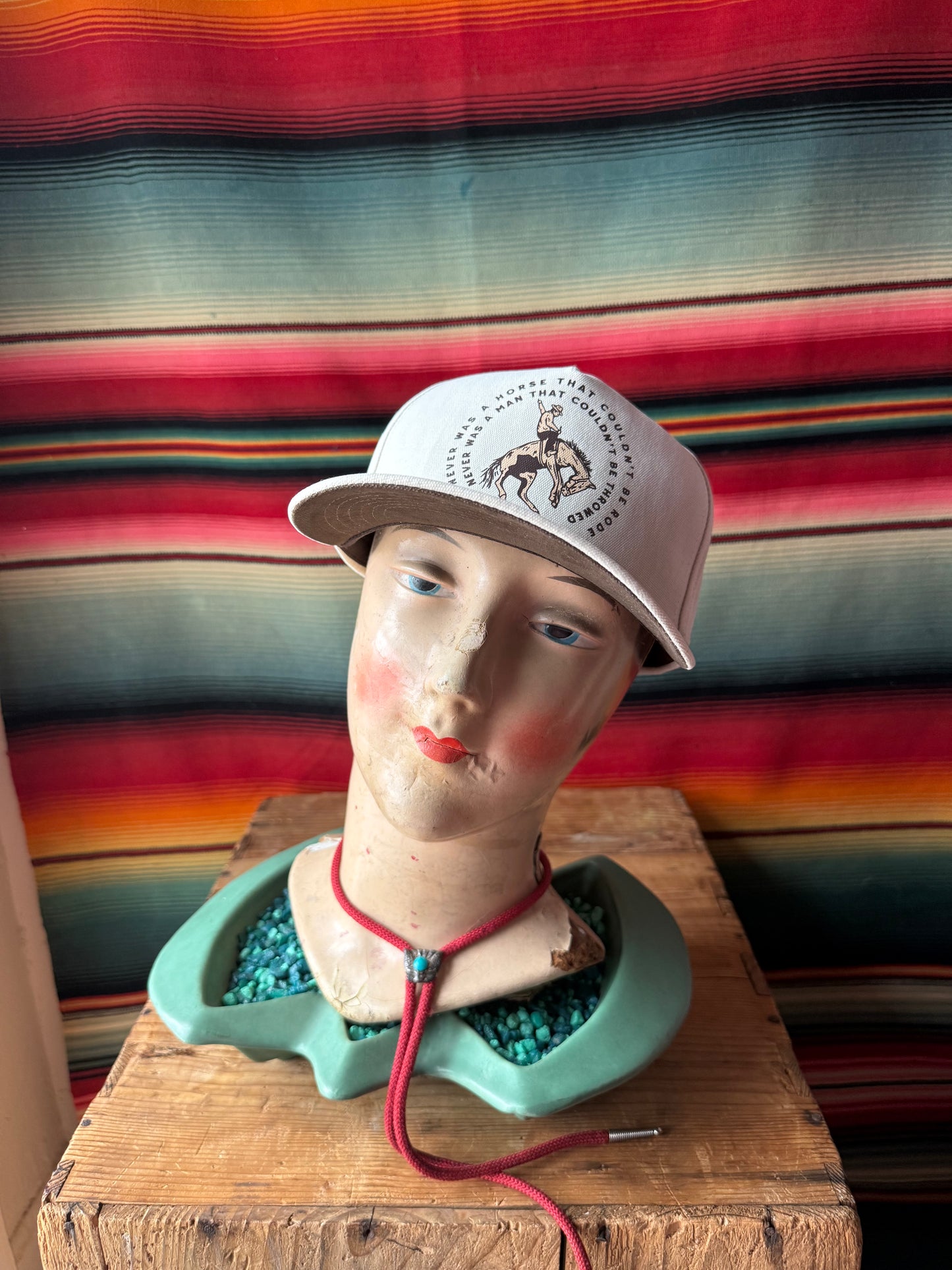 Never Was A Horse Hat