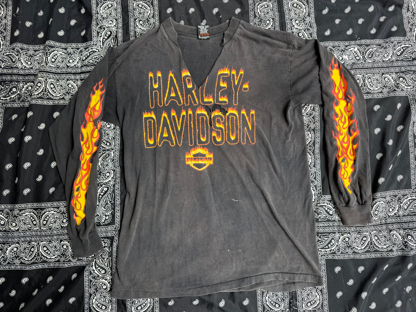 Y2K Distressed Harley Flames Long Sleeve