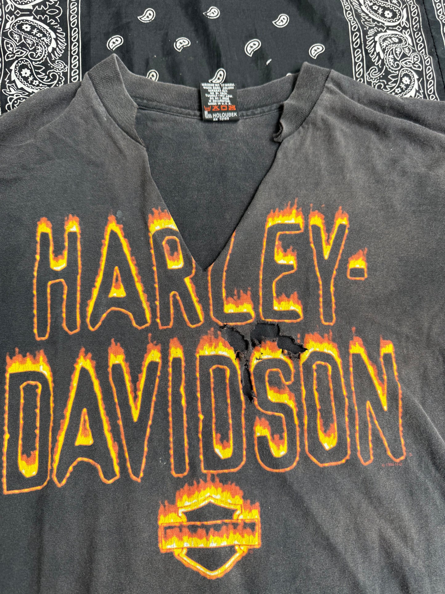 Y2K Distressed Harley Flames Long Sleeve