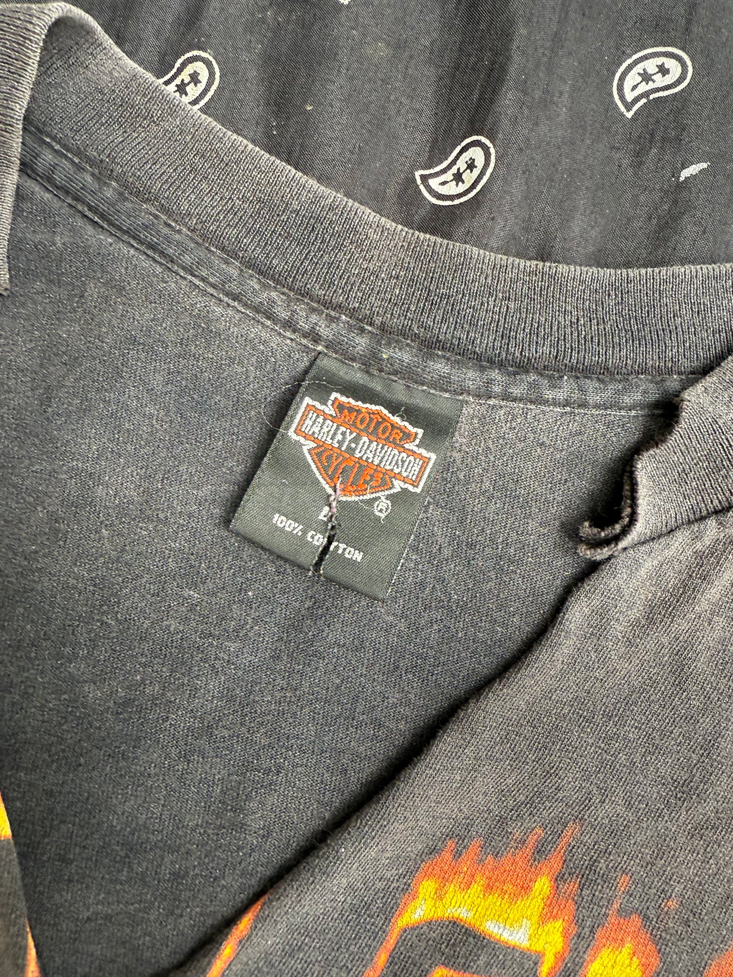 Y2K Distressed Harley Flames Long Sleeve