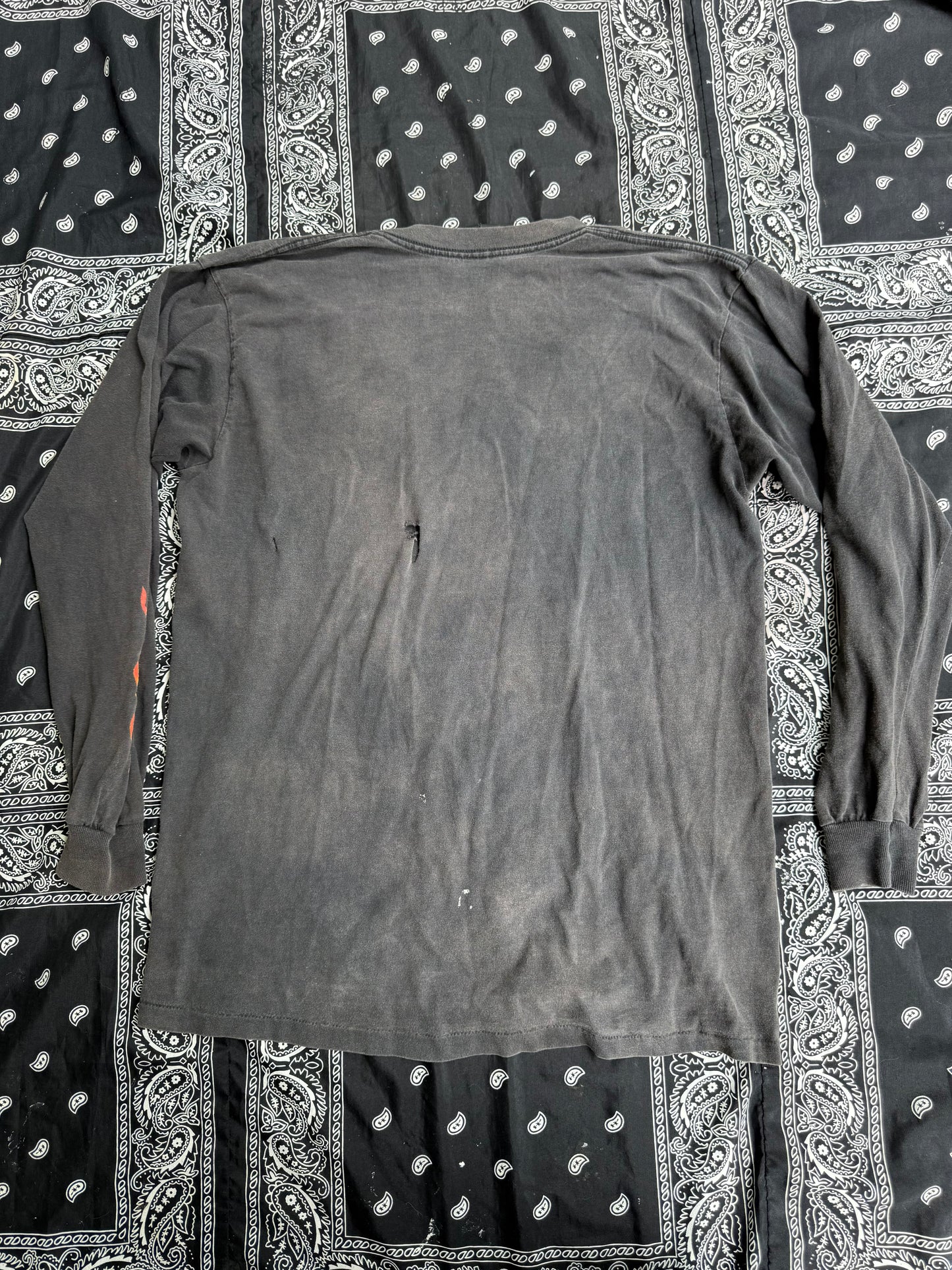 Y2K Distressed Harley Flames Long Sleeve