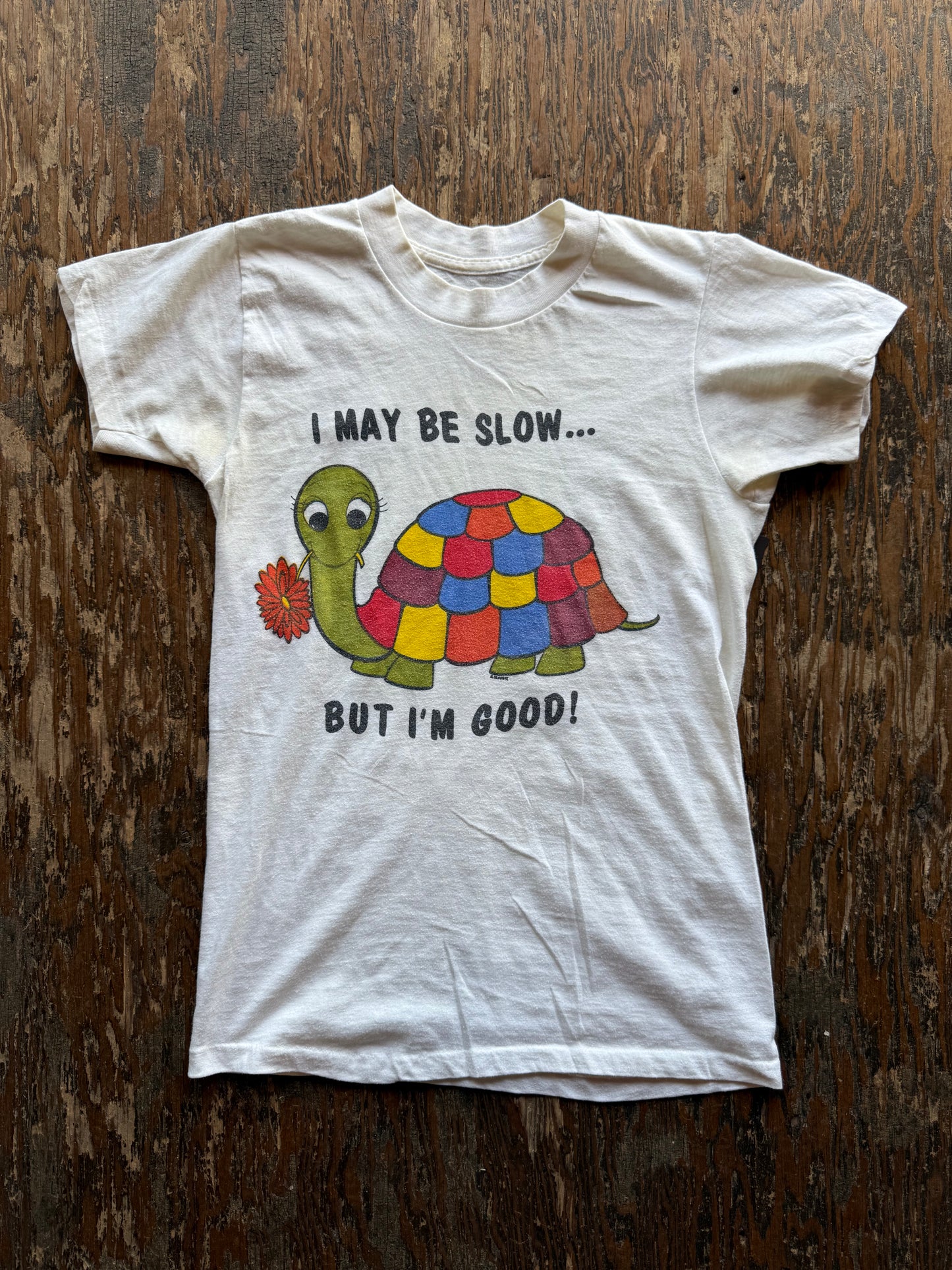 Vintage Slow But Good Turtle Tee (NL)