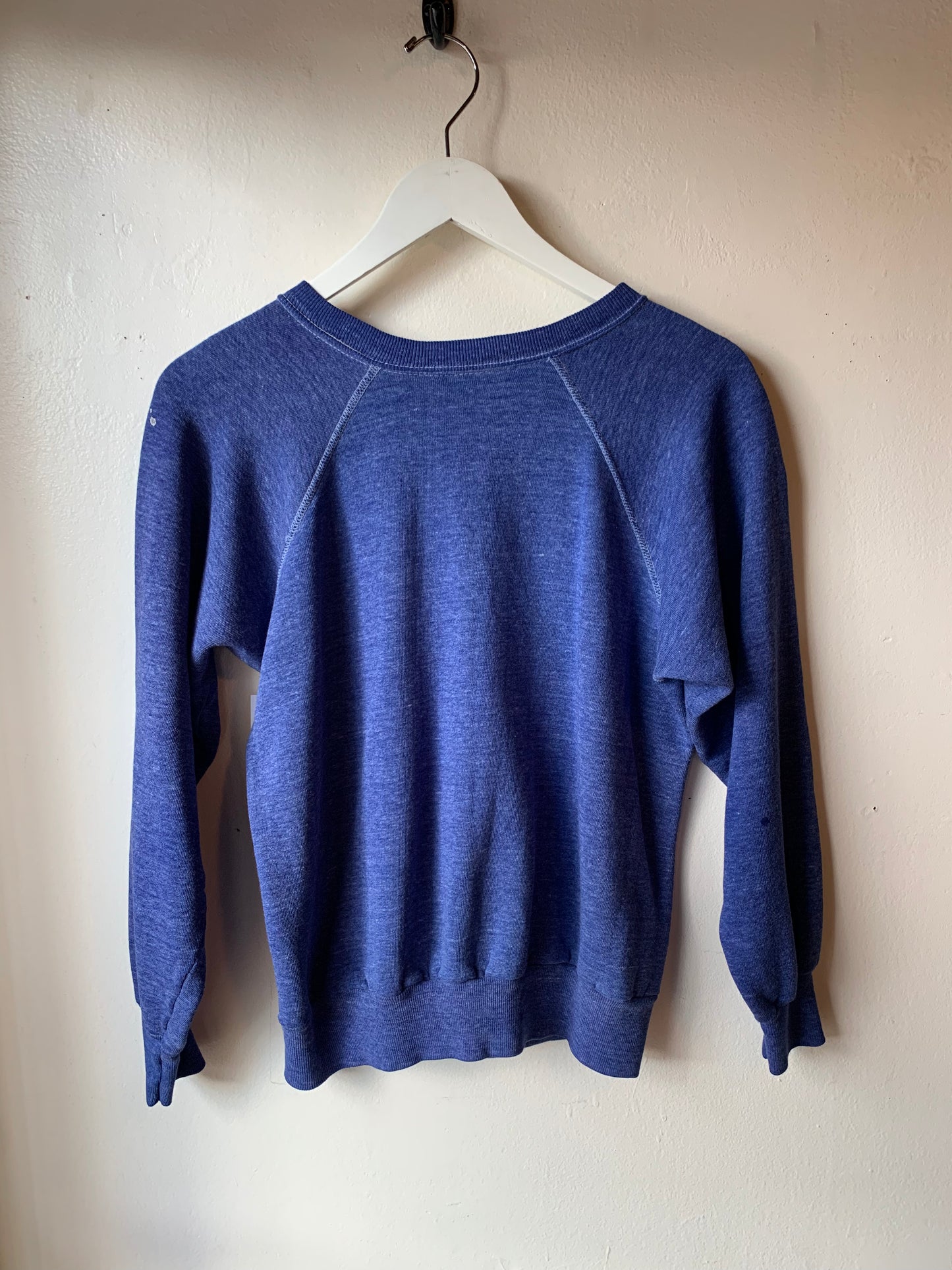 Vintage Soft Blue Crewneck Pullover (M/L)